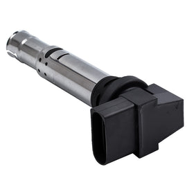Bobine Ignition Module geschikt voor Audi A1 A2 A3 geschikt voor VW Bora 1.6 FSI geschikt voor SKODA Fabia geschikt voor SEAT Alhambra